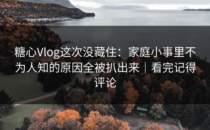 糖心Vlog这次没藏住：家庭小事里不为人知的原因全被扒出来｜看完记得评论