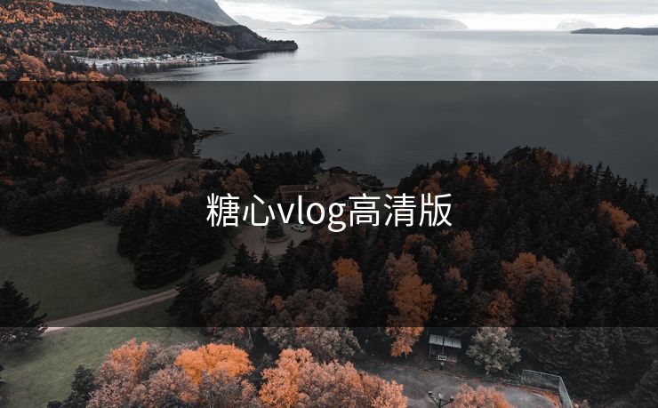 糖心vlog高清版
