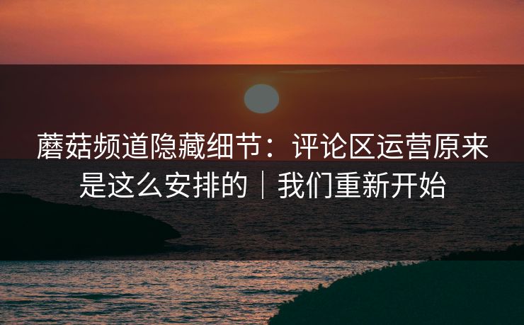 蘑菇频道隐藏细节：评论区运营原来是这么安排的｜我们重新开始