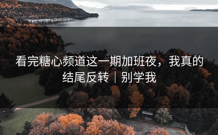 看完糖心频道这一期加班夜,我真的结尾反转|别学我 看完糖心频道这一期加班夜,我真的结尾反转|别学我
