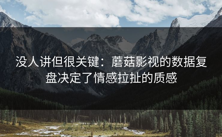 没人讲但很关键:蘑菇影视的数据复盘决定了情感拉扯的质感 没人讲但很关键:蘑菇影视的数据复盘决定了情感拉扯的质感