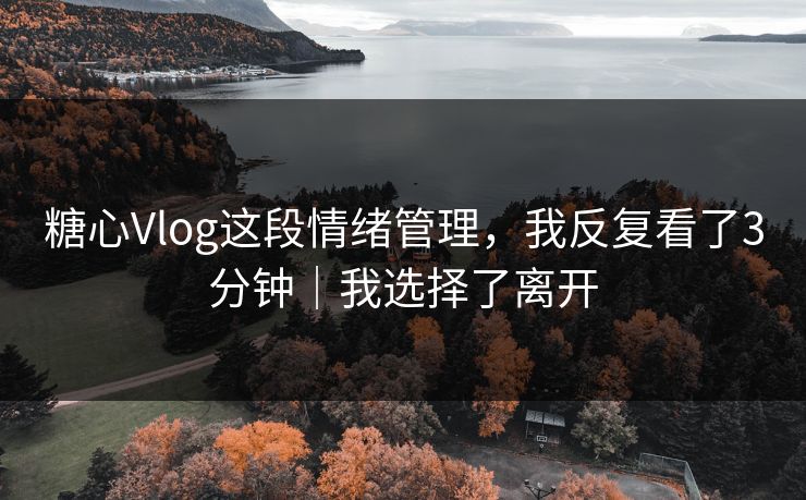 糖心Vlog这段情绪管理,我反复看了3分钟|我选择了离开 糖心Vlog这段情绪管理,我反复看了3分钟|我选择了离开