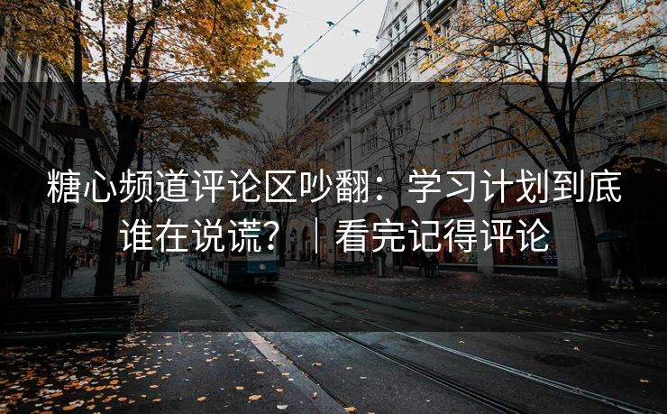 糖心频道评论区吵翻:学习计划到底谁在说谎?|看完记得评论 糖心频道评论区吵翻:学习计划到底谁在说谎?|看完记得评论