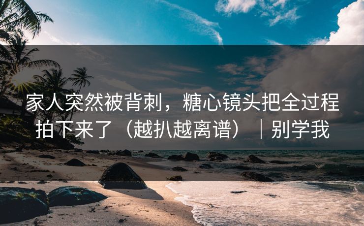 家人突然被背刺,糖心镜头把全过程拍下来了(越扒越离谱)|别学我 家人突然被背刺,糖心镜头把全过程拍下来了(越扒越离谱)|别学我